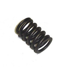 VALVE SPRING VALVE SPRING
